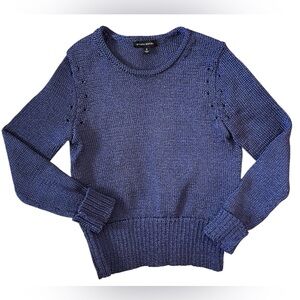 Banana Republic Lnot Metallic Blue Sweater